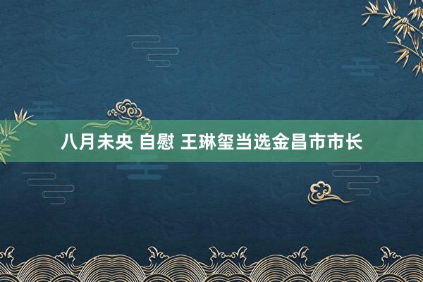 八月未央 自慰 王琳玺当选金昌市市长