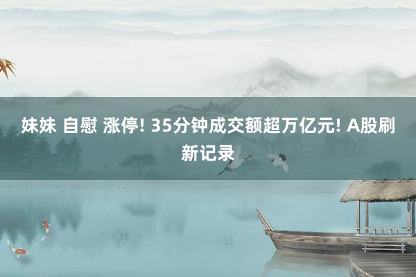 妹妹 自慰 涨停! 35分钟成交额超万亿元! A股刷新记录