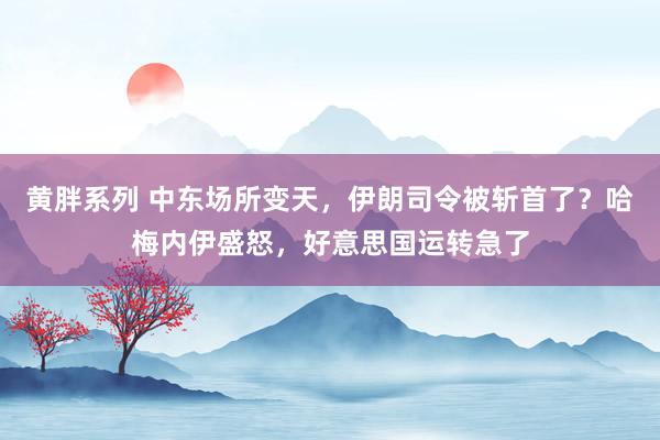 黄胖系列 中东场所变天，伊朗司令被斩首了？哈梅内伊盛怒，好意思国运转急了