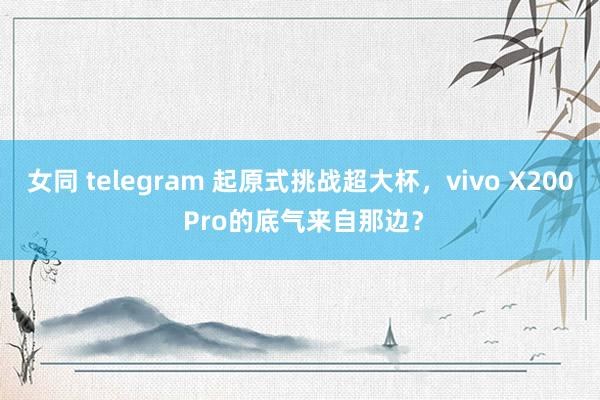 女同 telegram 起原式挑战超大杯，vivo X200 Pro的底气来自那边？