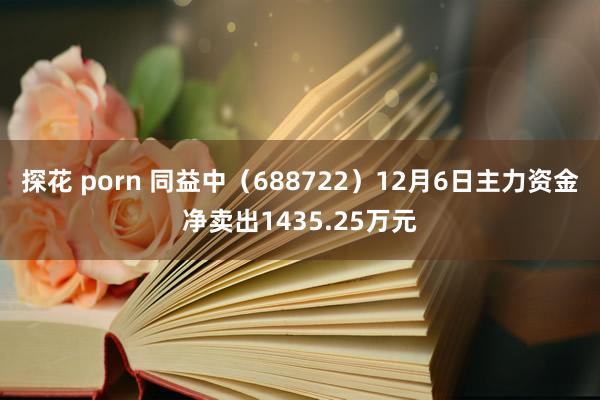 探花 porn 同益中（688722）12月6日主力资金净卖出1435.25万元