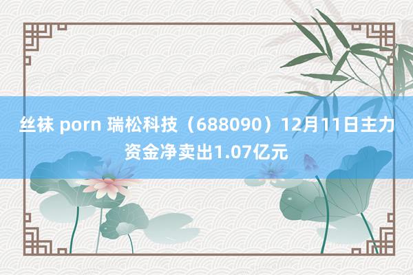 丝袜 porn 瑞松科技（688090）12月11日主力资金净卖出1.07亿元