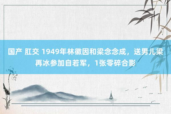 国产 肛交 1949年林徽因和梁念念成，送男儿梁再冰参加自若军，1张零碎合影