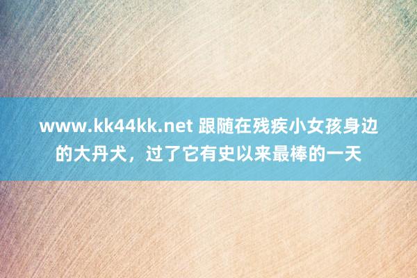 www.kk44kk.net 跟随在残疾小女孩身边的大丹犬，过了它有史以来最棒的一天