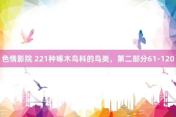 色情影院 221种啄木鸟科的鸟类，第二部分61-120
