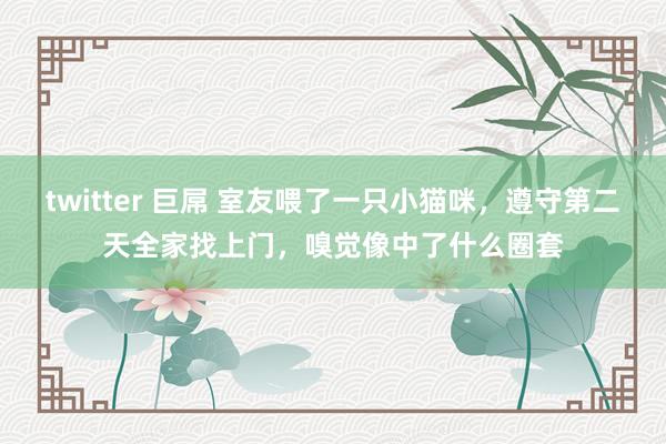 twitter 巨屌 室友喂了一只小猫咪，遵守第二天全家找上门，嗅觉像中了什么圈套