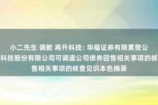 小二先生 调教 再升科技: 华福证券有限累赘公司对于重庆再升科技股份有限公司可调遣公司债券回售相关事项的核查见识本色摘录