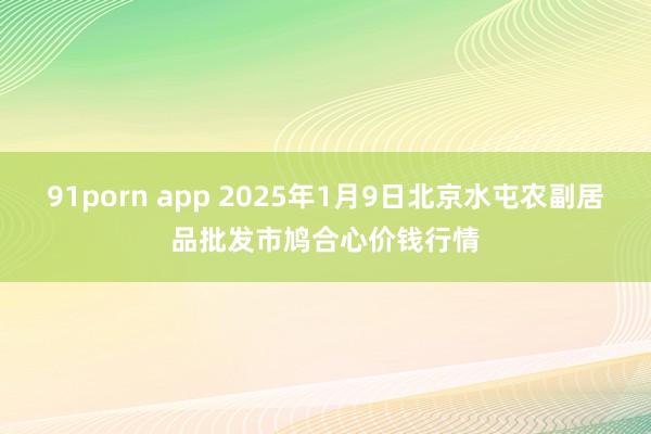 91porn app 2025年1月9日北京水屯农副居品批发市鸠合心价钱行情