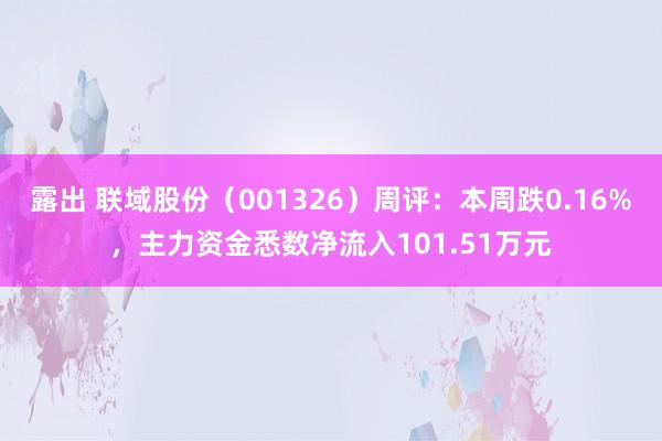露出 联域股份（001326）周评：本周跌0.16%，主力资金悉数净流入101.51万元