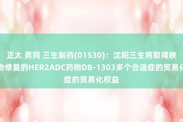 正太 男同 三生制药(01530)：沈阳三生将取得映恩生物修复的HER2ADC药物DB-1303多个合适症的贸易化权益