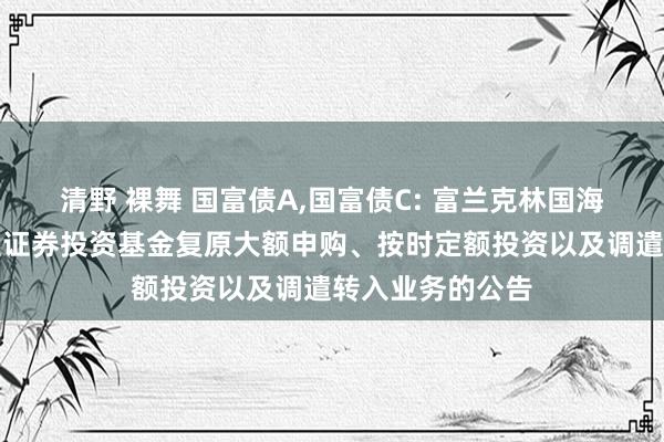 清野 裸舞 国富债A,国富债C: 富兰克林国海强化收益债券型证券投资基金复原大额申购、按时定额投资以及调遣转入业务的公告