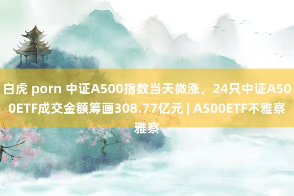 白虎 porn 中证A500指数当天微涨，24只中证A500ETF成交金额筹画308.77亿元 | A500ETF不雅察