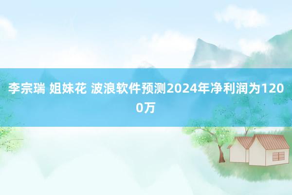 李宗瑞 姐妹花 波浪软件预测2024年净利润为1200万