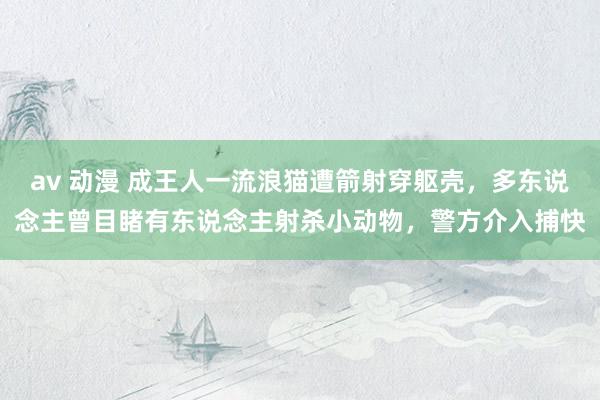 av 动漫 成王人一流浪猫遭箭射穿躯壳，多东说念主曾目睹有东说念主射杀小动物，警方介入捕快