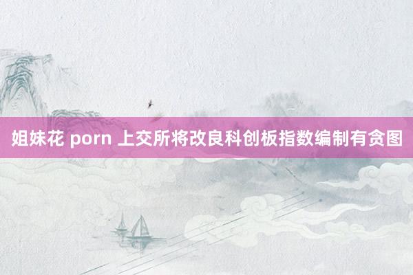 姐妹花 porn 上交所将改良科创板指数编制有贪图