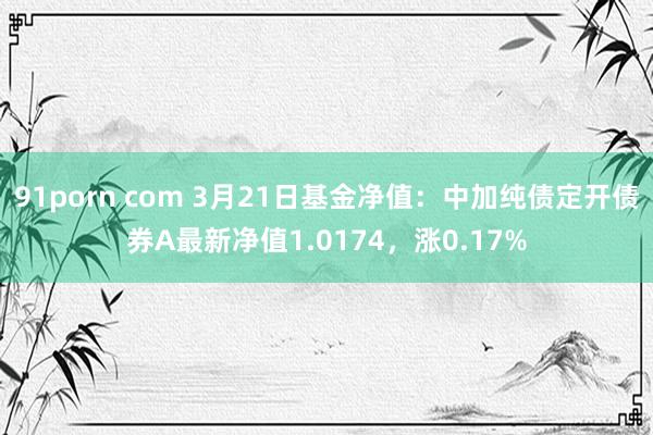 91porn com 3月21日基金净值：中加纯债定开债券A最新净值1.0174，涨0.17%