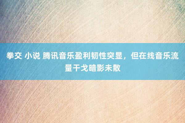 拳交 小说 腾讯音乐盈利韧性突显，但在线音乐流量干戈暗影未散