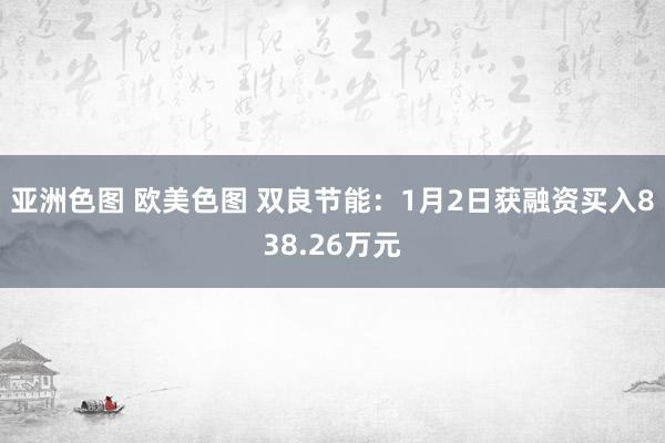 亚洲色图 欧美色图 双良节能：1月2日获融资买入838.26万元