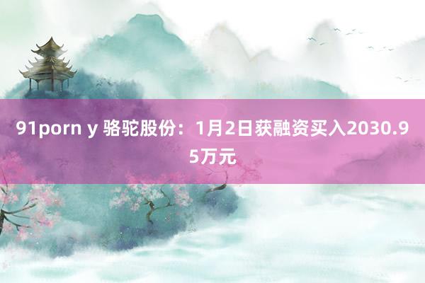 91porn y 骆驼股份：1月2日获融资买入2030.95万元