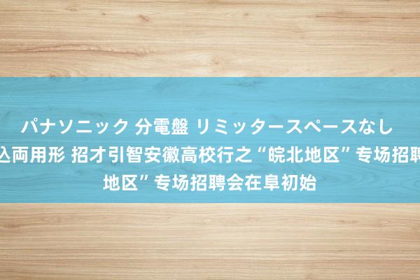 パナソニック 分電盤 リミッタースペースなし 露出・半埋込両用形 招才引智安徽高校行之“皖北地区”专场招聘会在阜初始