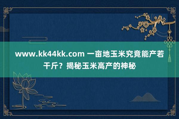 www.kk44kk.com 一亩地玉米究竟能产若干斤？揭秘玉米高产的神秘