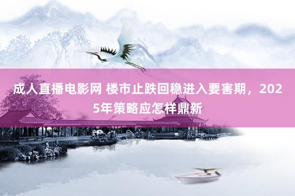 成人直播电影网 楼市止跌回稳进入要害期，2025年策略应怎样鼎新