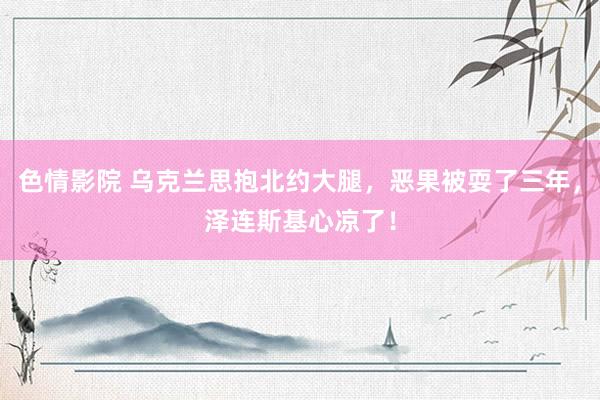 色情影院 乌克兰思抱北约大腿，恶果被耍了三年，泽连斯基心凉了！