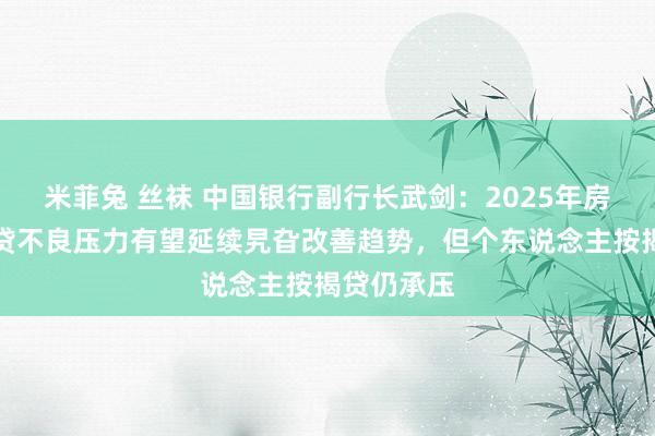 米菲兔 丝袜 中国银行副行长武剑：2025年房地产缔造贷不良压力有望延续旯旮改善趋势，但个东说念主按揭贷仍承压