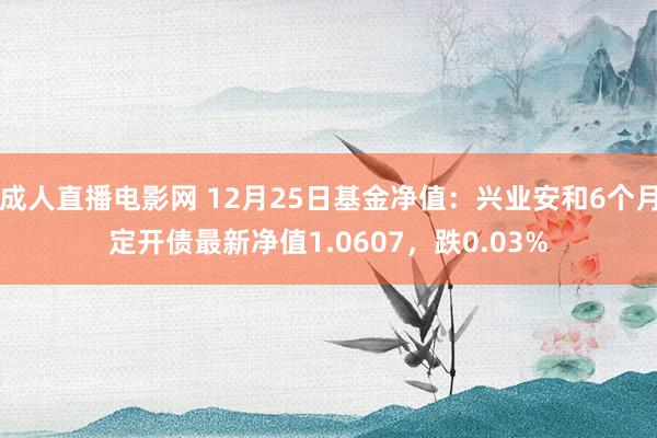 成人直播电影网 12月25日基金净值：兴业安和6个月定开债最新净值1.0607，跌0.03%