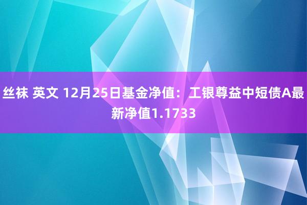 丝袜 英文 12月25日基金净值：工银尊益中短债A最新净值1.1733