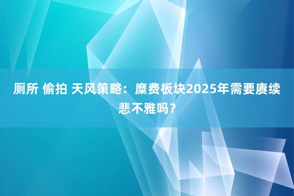 厕所 偷拍 天风策略：糜费板块2025年需要赓续悲不雅吗？