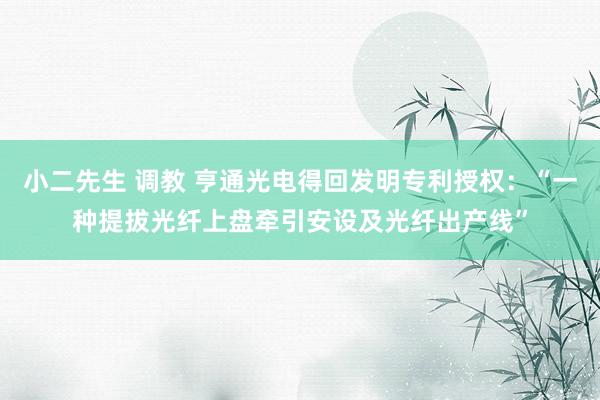 小二先生 调教 亨通光电得回发明专利授权：“一种提拔光纤上盘牵引安设及光纤出产线”