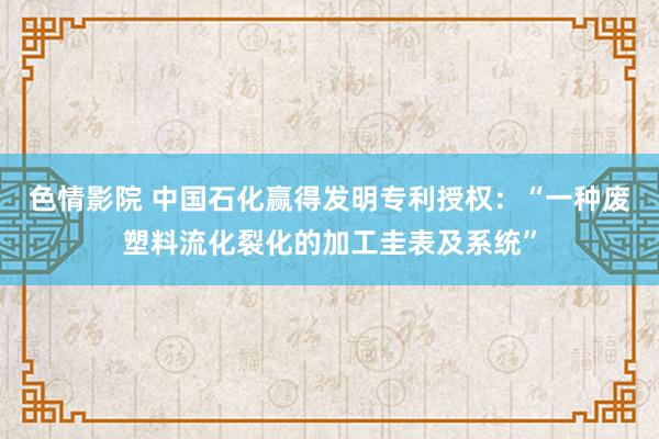色情影院 中国石化赢得发明专利授权：“一种废塑料流化裂化的加工圭表及系统”