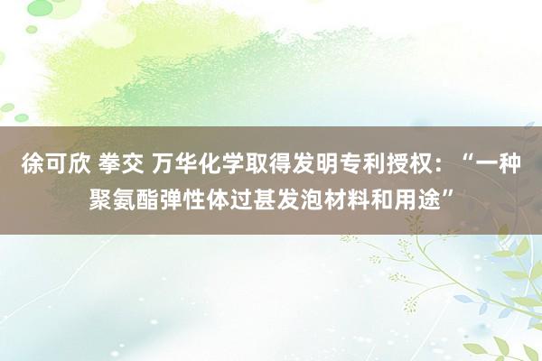 徐可欣 拳交 万华化学取得发明专利授权：“一种聚氨酯弹性体过甚发泡材料和用途”
