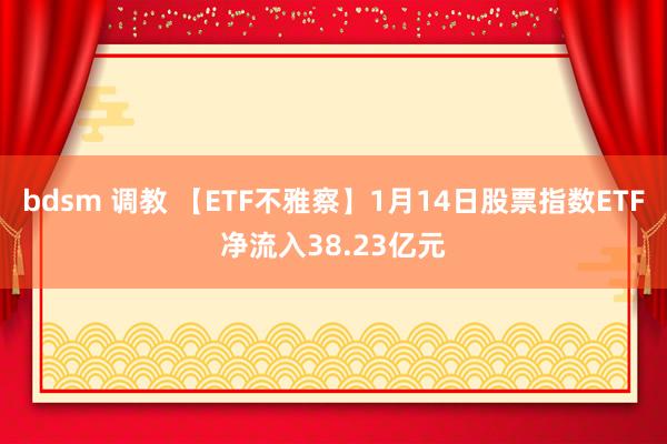 bdsm 调教 【ETF不雅察】1月14日股票指数ETF净流入38.23亿元