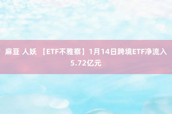 麻豆 人妖 【ETF不雅察】1月14日跨境ETF净流入5.72亿元