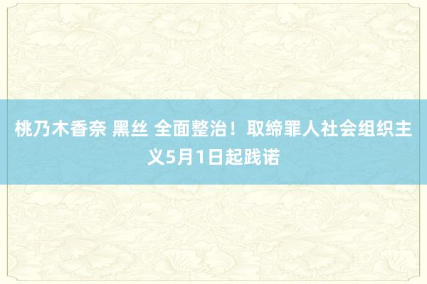 桃乃木香奈 黑丝 全面整治！取缔罪人社会组织主义5月1日起践诺