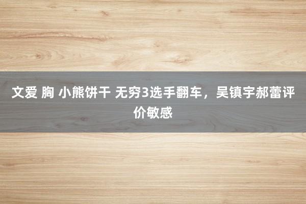 文爱 胸 小熊饼干 无穷3选手翻车，吴镇宇郝蕾评价敏感