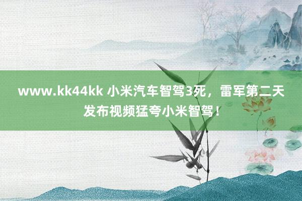 www.kk44kk 小米汽车智驾3死，雷军第二天发布视频猛夸小米智驾！