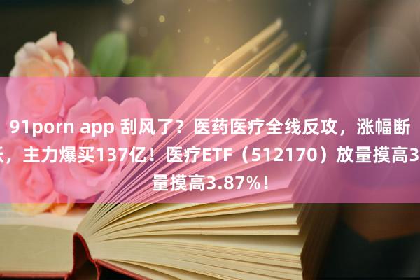 91porn app 刮风了？医药医疗全线反攻，涨幅断层跳跃，主力爆买137亿！医疗ETF（512170）放量摸高3.87%！