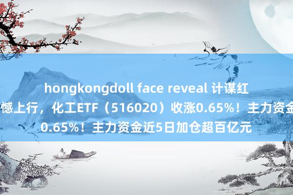hongkongdoll face reveal 计谋红利催化！化工板块震憾上行，化工ETF（516020）收涨0.65%！主力资金近5日加仓超百亿元