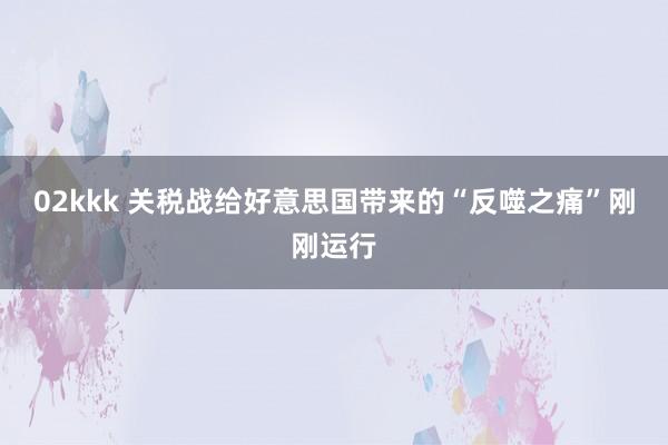 02kkk 关税战给好意思国带来的“反噬之痛”刚刚运行